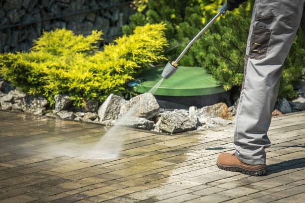 Best Boat and Dock Cleaning  in Woodbranch, TX