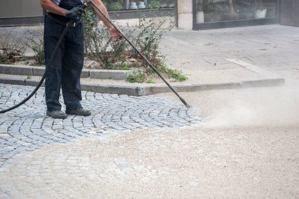 Best Animal Enclosure Cleaning  in Woodbranch, TX